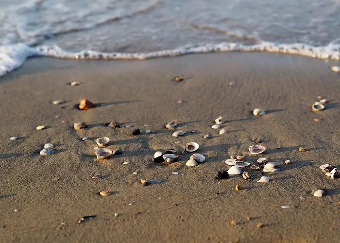 With Garden In With Pool Lejlighed Bibione