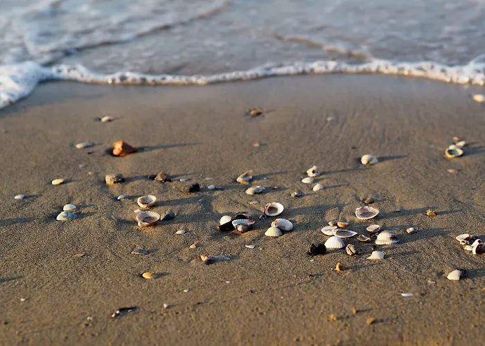 With Garden In With Pool Bibione